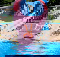 Lakeside Motel - Accommodation Los Angeles