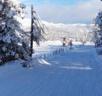 Budgeteer Motor Inn - Accommodation Los Angeles