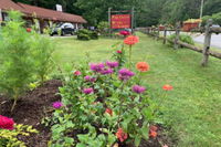 Pine Crest Motel And Cabins