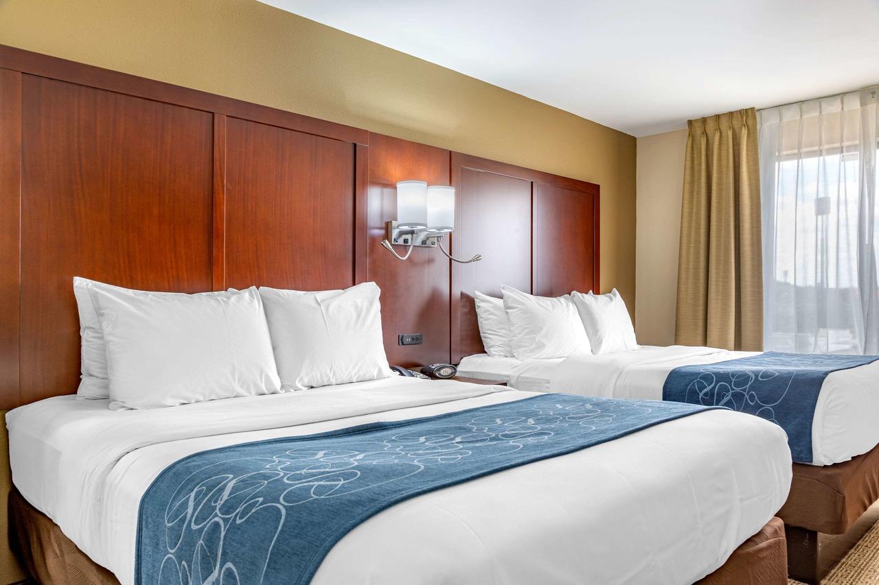 Comfort Suites Gateway - thumb 5