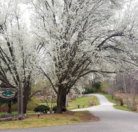 Forrest Hills Mountain Resort and Conference Center - Accommodation Los Angeles