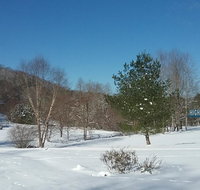 Evergreen Cabin At Blairsville Cabin - Accommodation Los Angeles