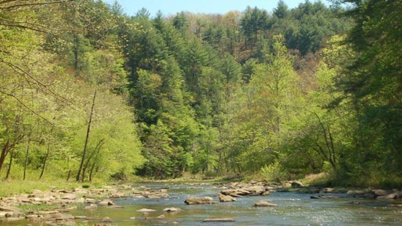 Rivers Edge Cabin - thumb 1