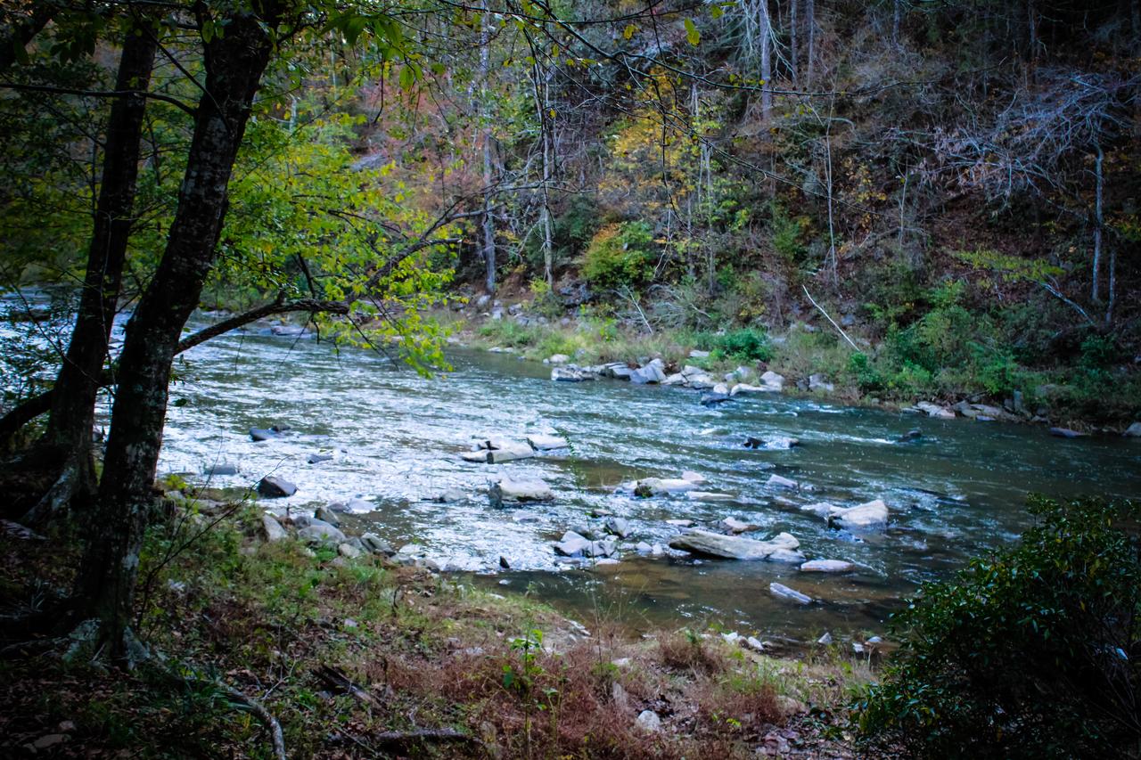 Rivers Edge Cabin - thumb 9