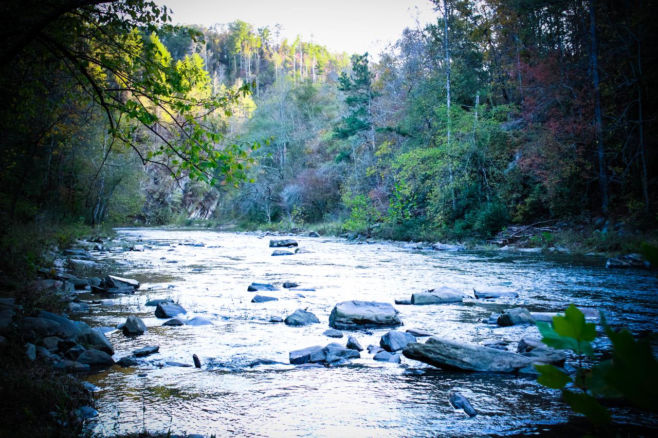 Rivers Edge Cabin - thumb 26