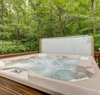 Lazy Bear Den - 2 Bed 1 Bath Vacation home in Blue Ridge - Accommodation Los Angeles