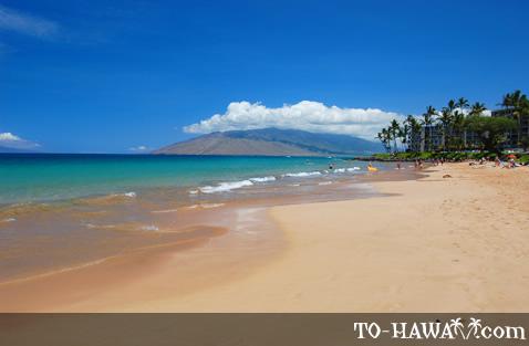 Maui Vista - Building #1 - thumb 17