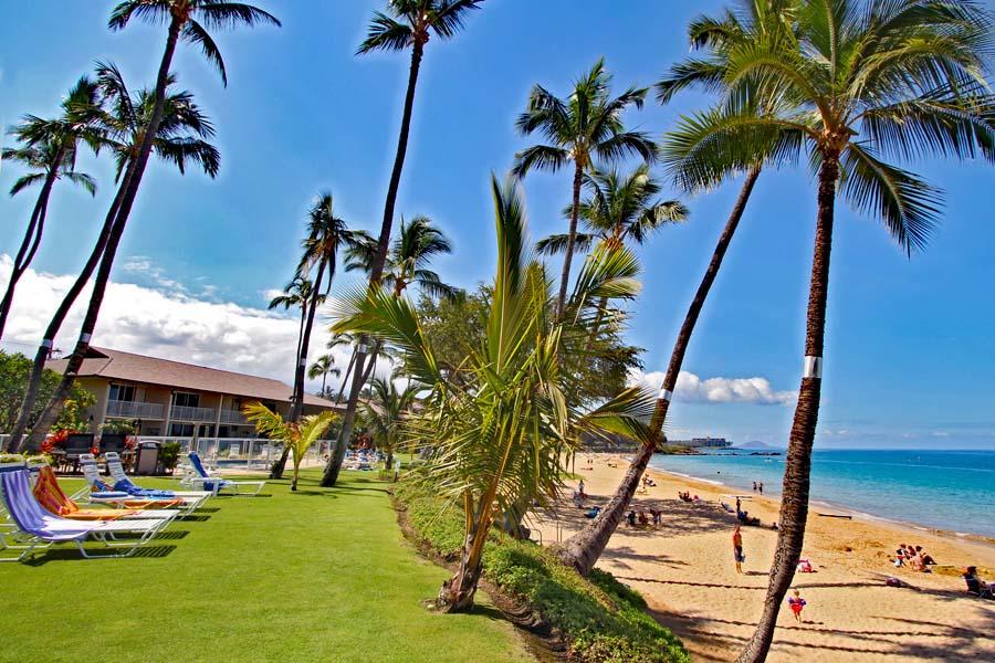 Maui Vista - Building #1 - thumb 0