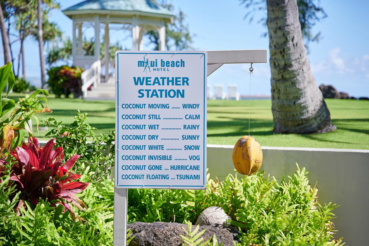 Maui Beach Hotel - thumb 12