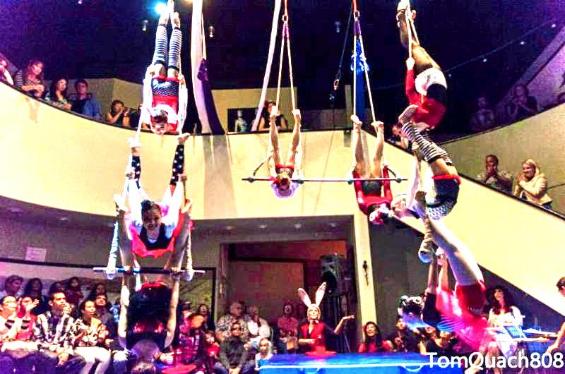 Unique Art Gallery Theater Home - thumb 21