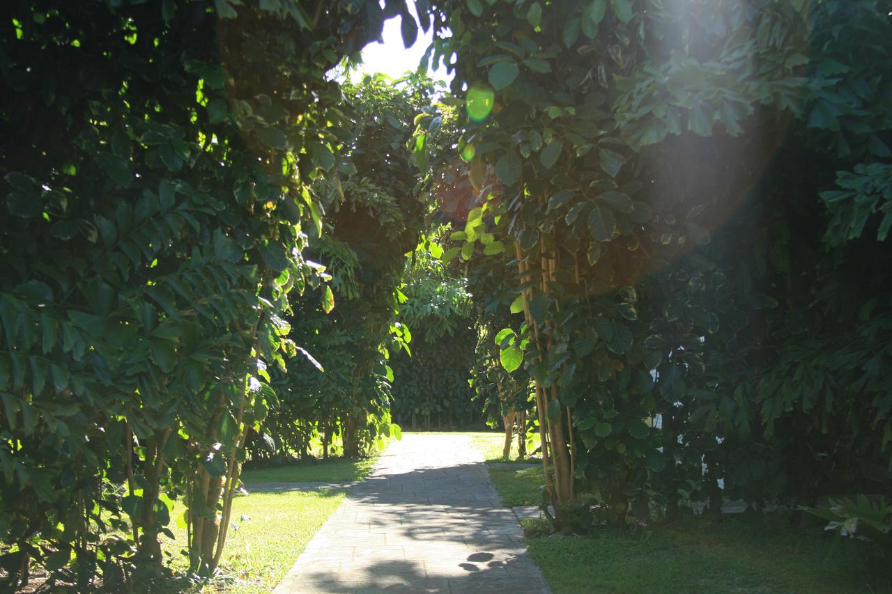 Hawaii Island Retreat At Ahu Pohaku Ho`omaluhia - thumb 4