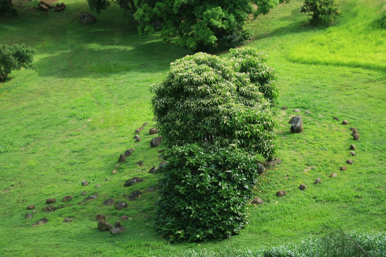 Hawaii Island Retreat At Ahu Pohaku Ho`omaluhia - thumb 44