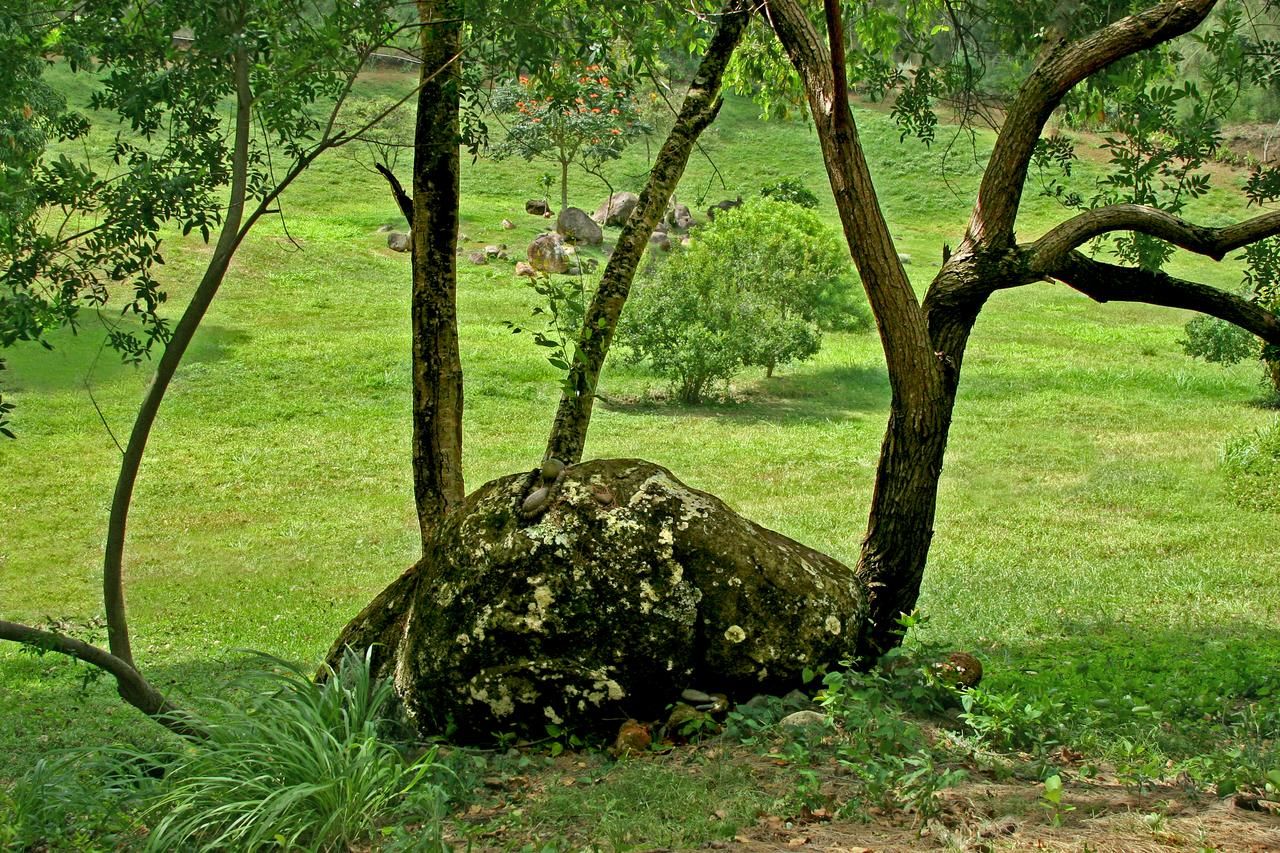 Hawaii Island Retreat At Ahu Pohaku Ho`omaluhia - thumb 41