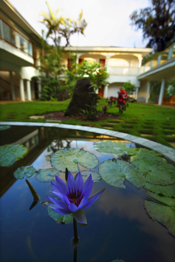 Hawaii Island Retreat At Ahu Pohaku Ho`omaluhia - thumb 37