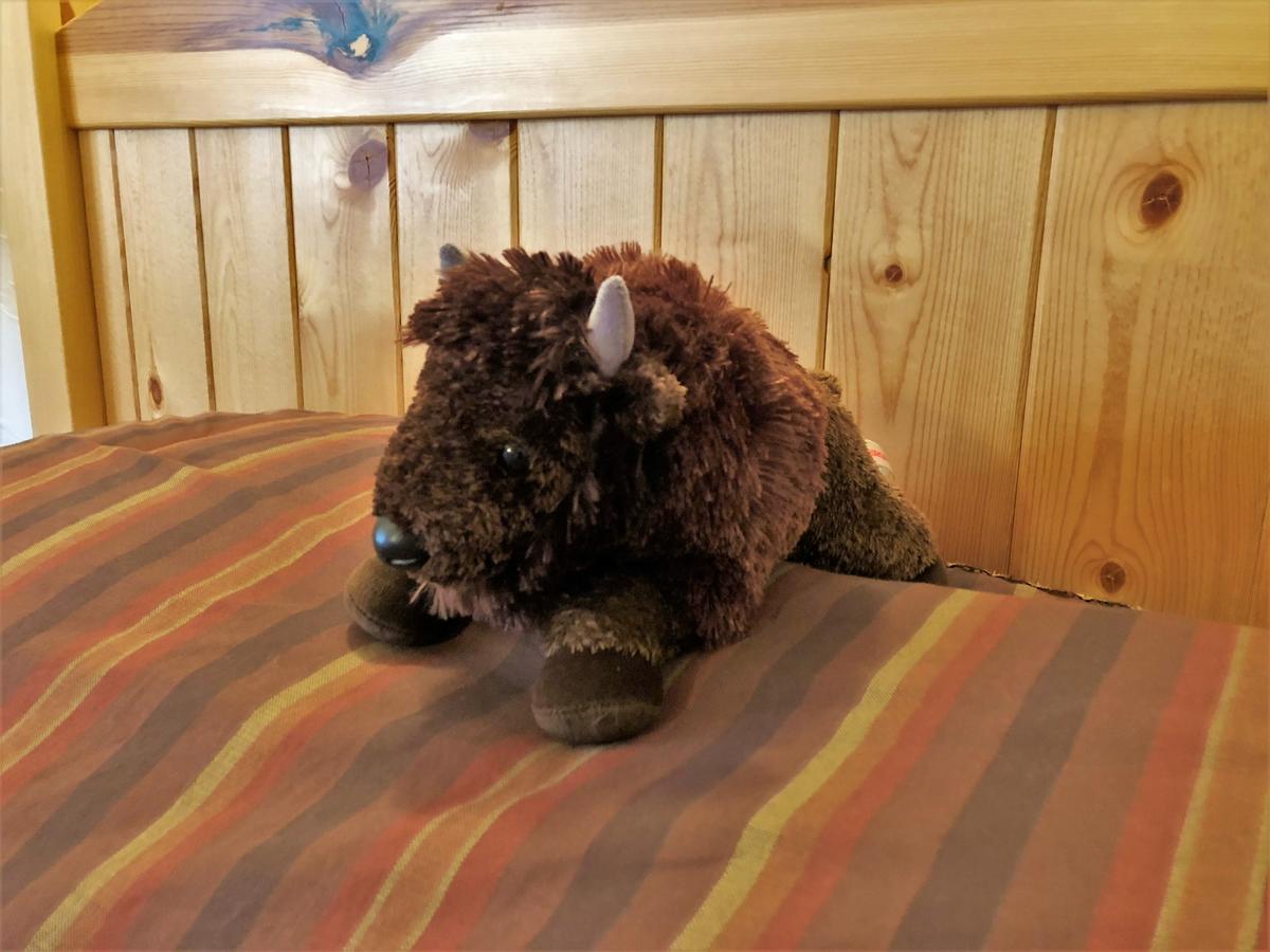 Kilgore Mountain Hideaway B&B - thumb 24