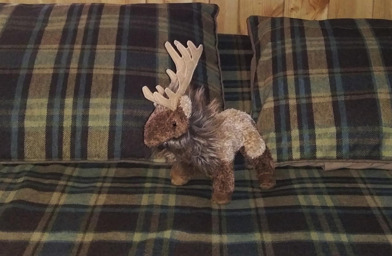 Kilgore Mountain Hideaway B&B - thumb 28