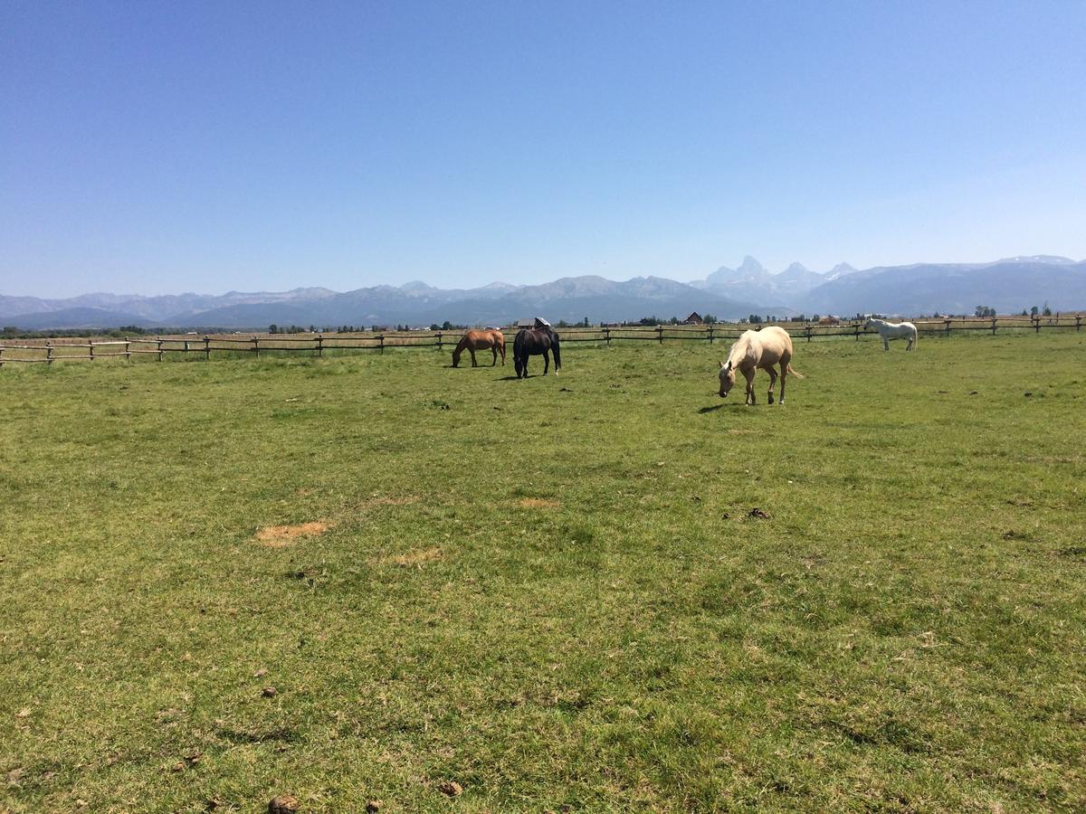 TOA Ranch - thumb 13