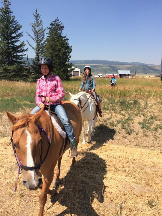 TOA Ranch - thumb 14