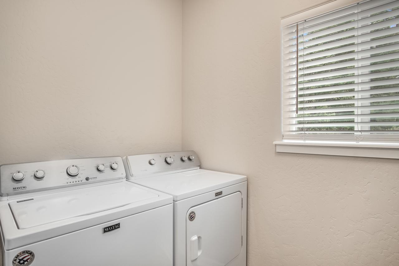 Bayview Beauty - thumb 7