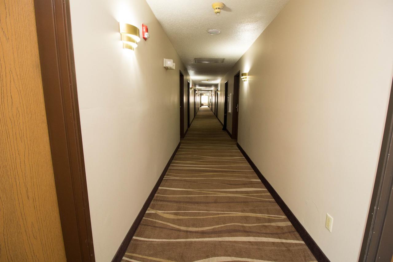 Super 8 By Wyndham Chicago O'Hare Airport - thumb 32