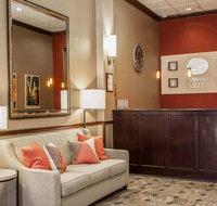 Comfort Suites Michigan Avenue - Accommodation Los Angeles