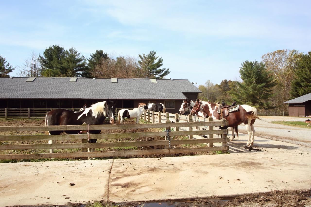 Canyon Inn - thumb 28