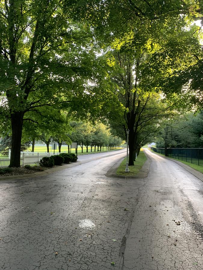 Biddle Point - thumb 20