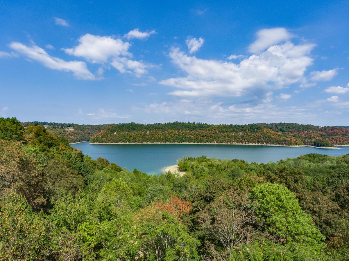 Irish Eagle - thumb 4