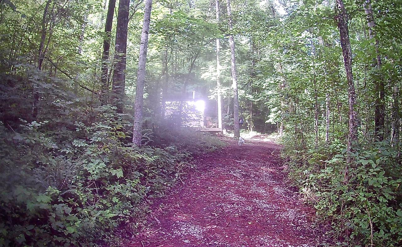 Tentrr - Hidden Hilltop Hideaway - thumb 5