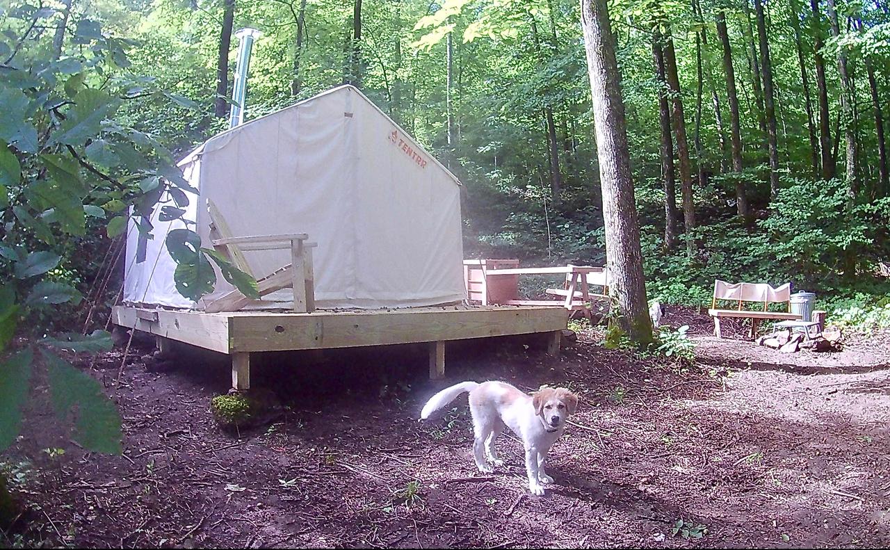 Tentrr - Hidden Hilltop Hideaway - thumb 11