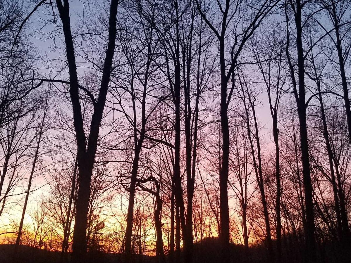 Tentrr - Hidden Hilltop Hideaway - thumb 1