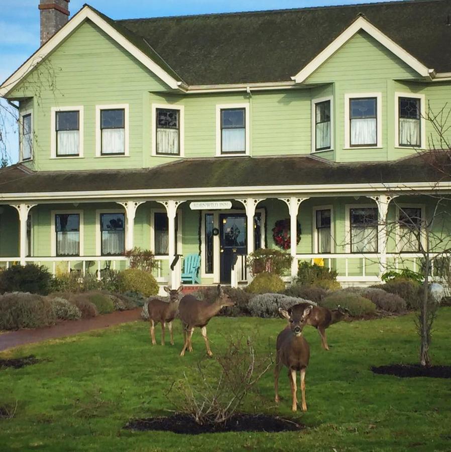 The Edenwild Boutique Inn - thumb 24