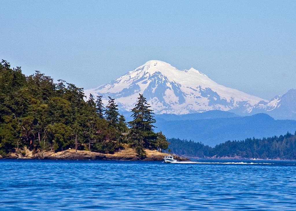 The Edenwild Boutique Inn - thumb 12