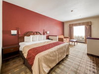 Booking Donaldsonville Accommodation Los Angeles