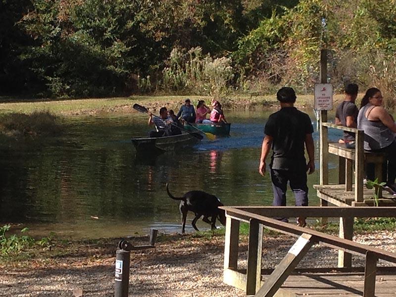 Berry Creek Cabins - thumb 17