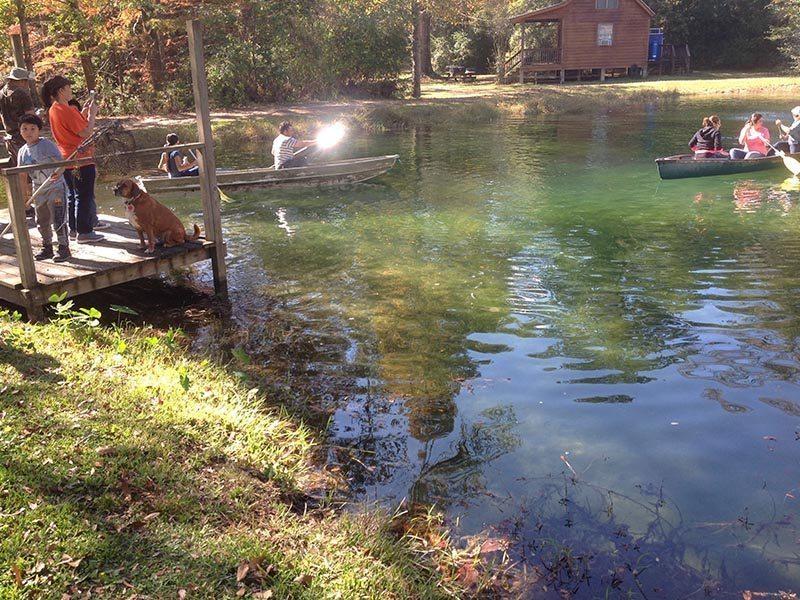 Berry Creek Cabins - thumb 43