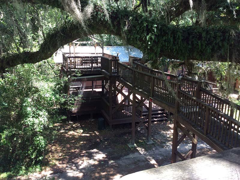 Berry Creek Cabins - thumb 3