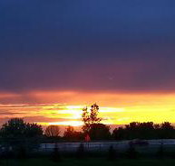 Budget Inn  Lodge - Accommodation Los Angeles