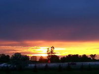 Ny Zwolle Accommodation Los Angeles