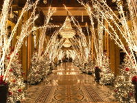 1115-HIGHRISE CONDO CANAL ST/ FRENCH QTR SLEEPS 4 Accommodation Los Angeles