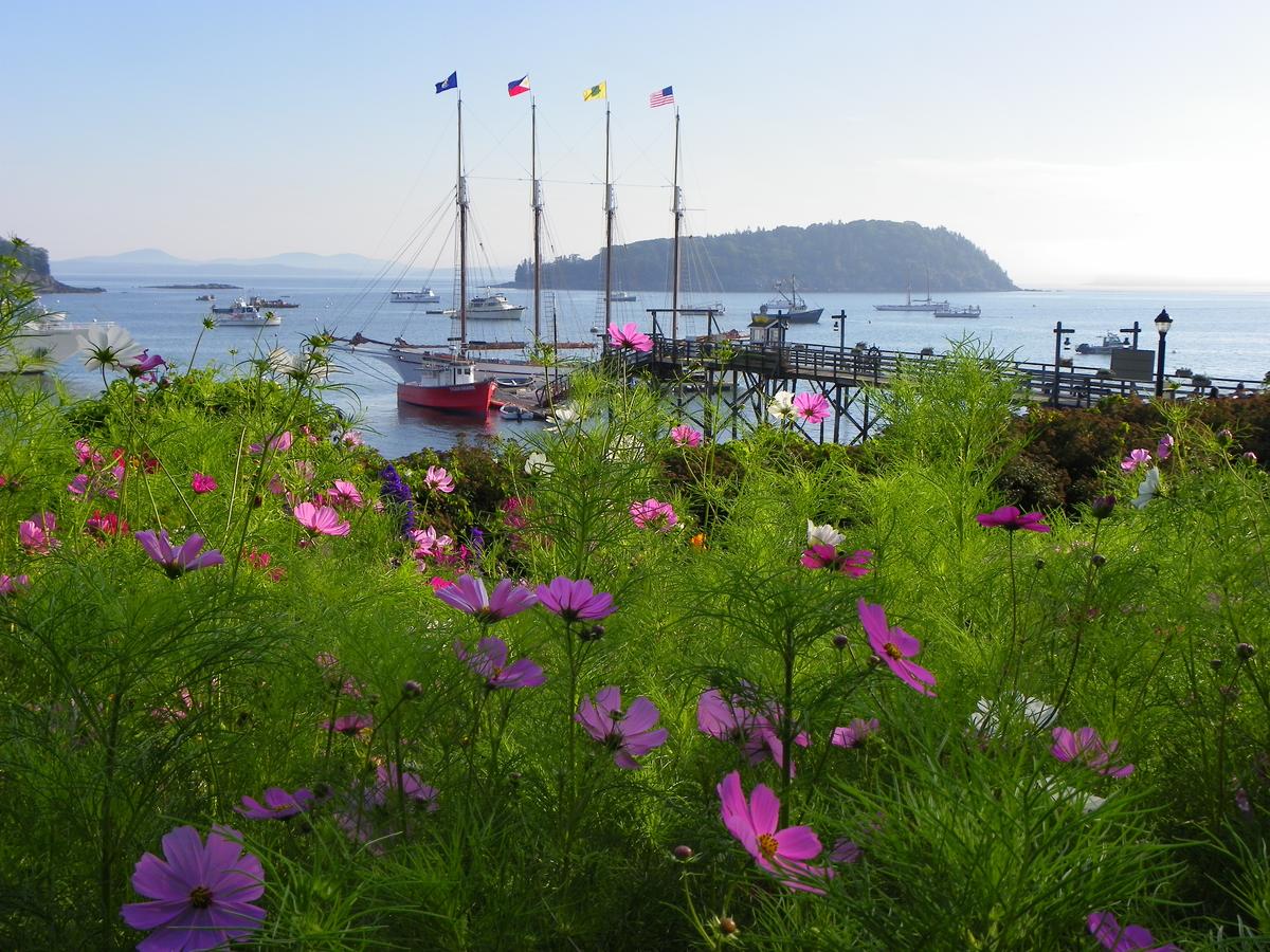 Bar Harbor Inn And Spa - thumb 29