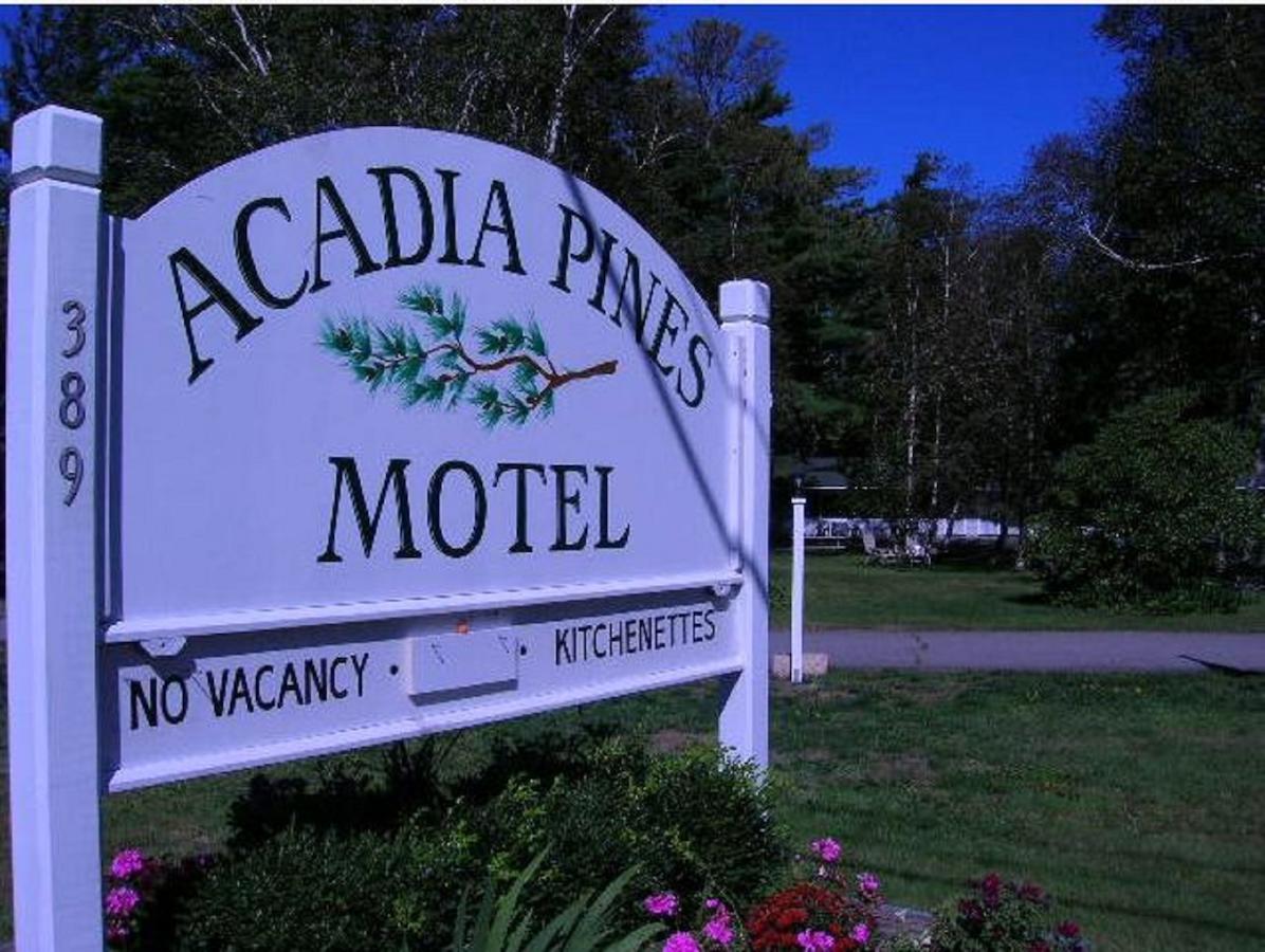 Acadia Pines Motel - thumb 0