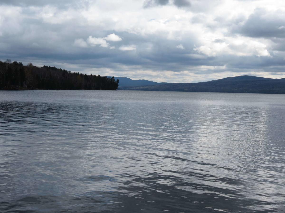 Loon Song - thumb 5