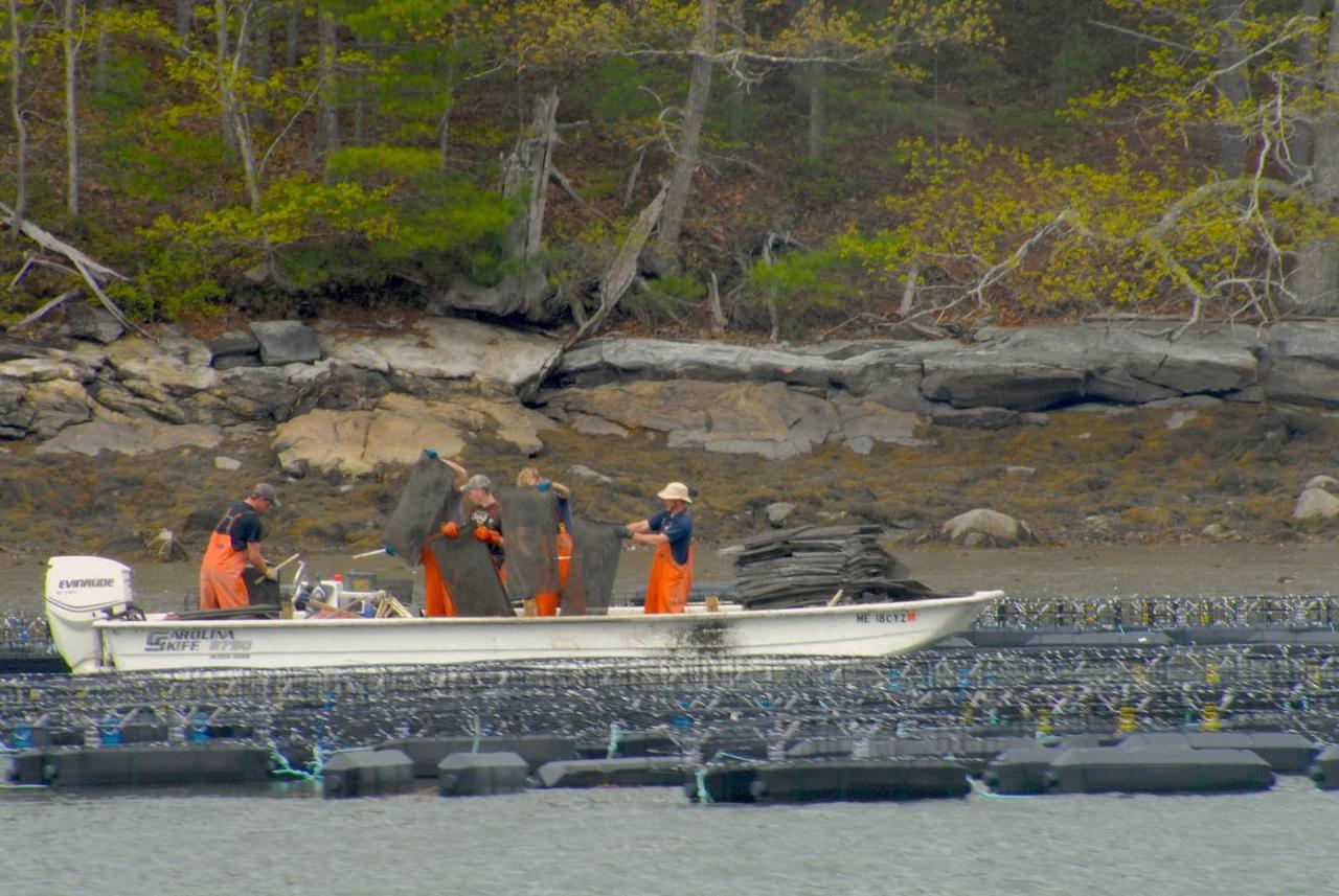 Mazu, The Floating Cottage In Maine - thumb 19