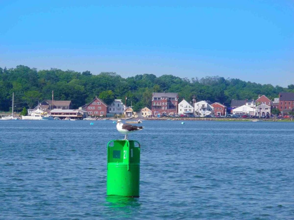 Mazu, The Floating Cottage In Maine - thumb 17