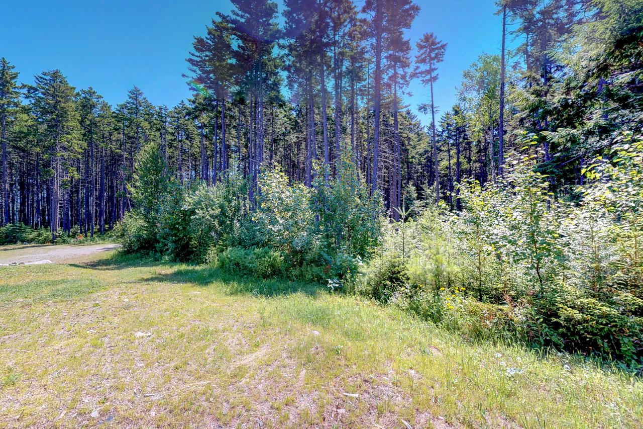 Beaver Cove Relaxation - thumb 30