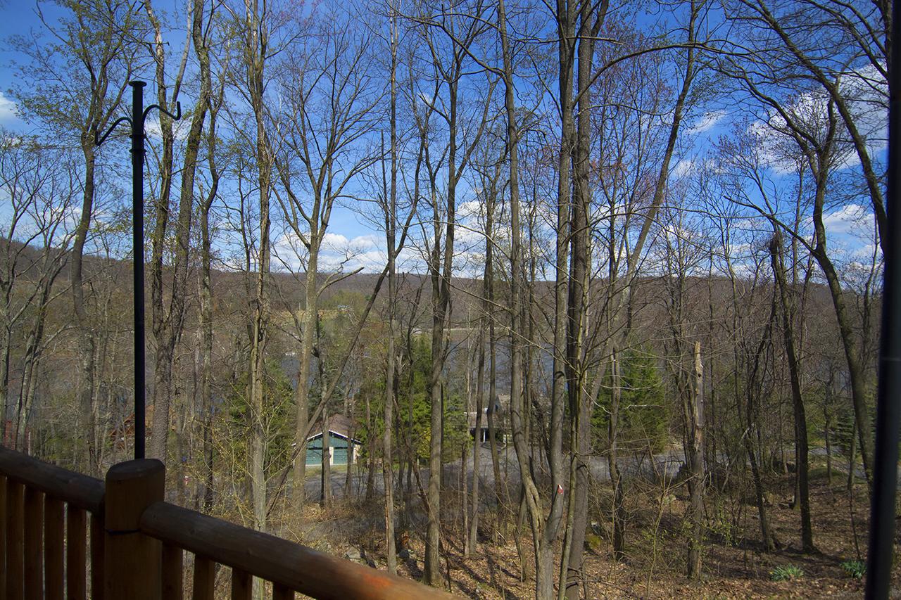 Bear Necessity Four-Bedroom Holiday Home - thumb 0