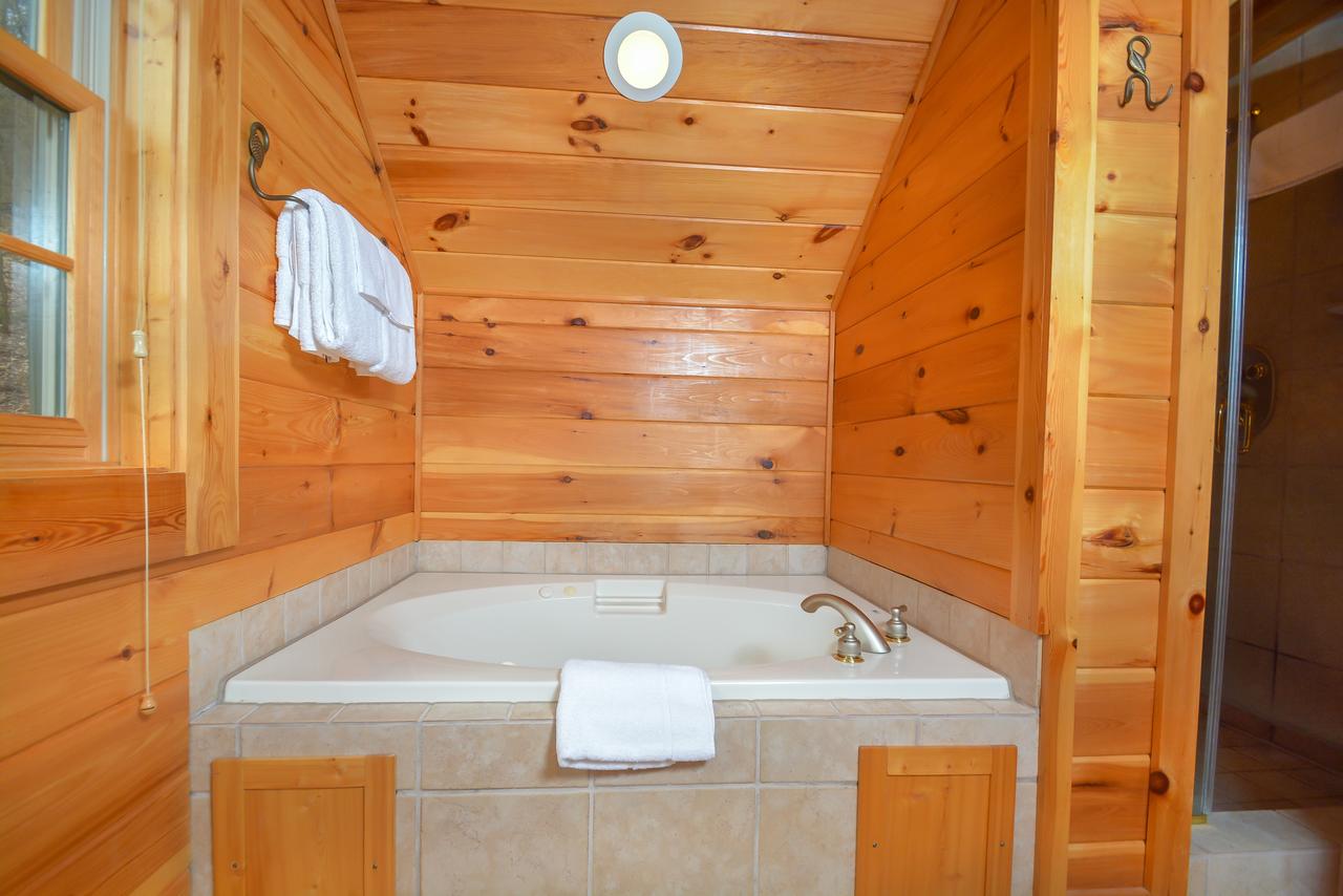 Bear Necessity Four-Bedroom Holiday Home - thumb 6