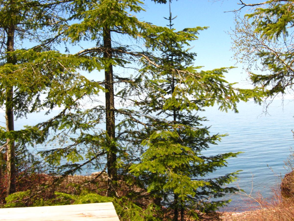 Eagle Lodge Lakeside Cabin 10 - thumb 7