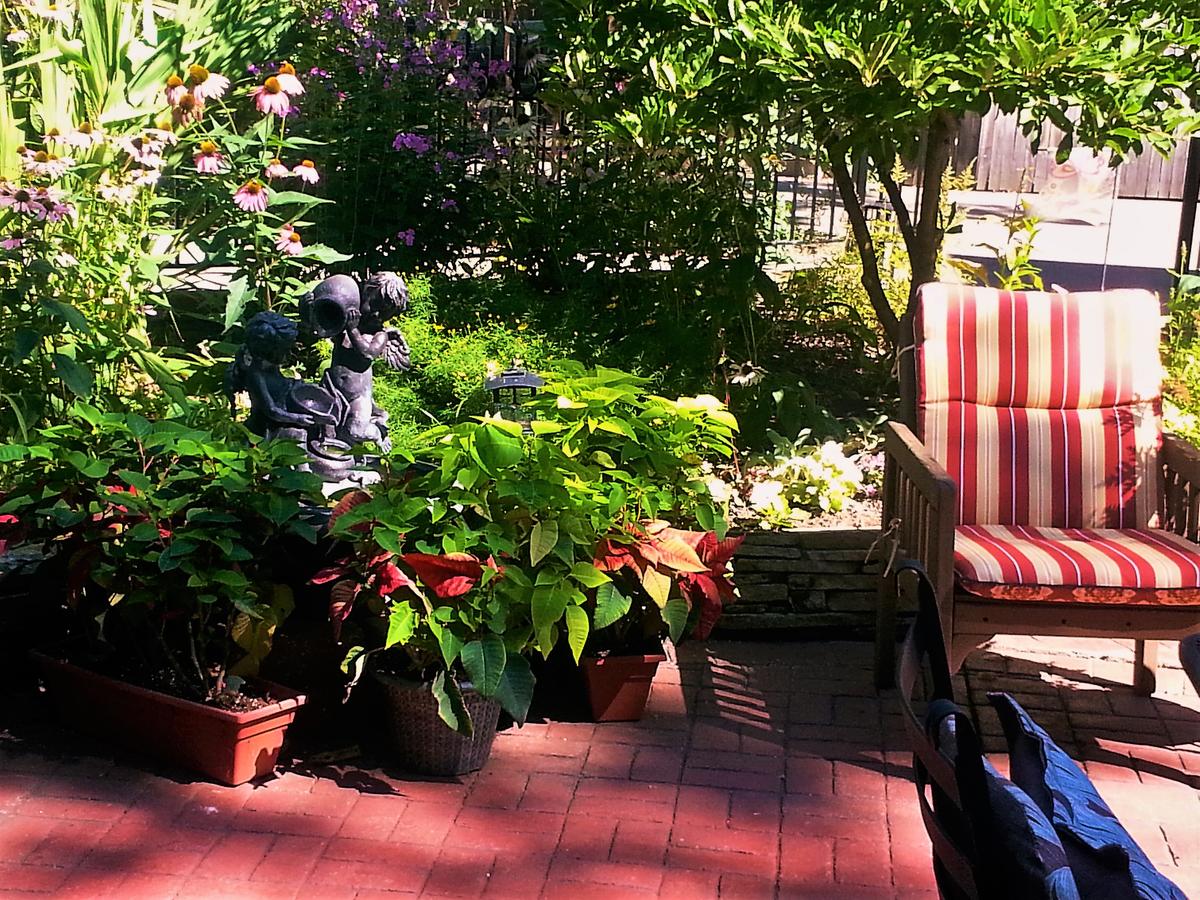 Festive West Bed & BreakFest - thumb 27